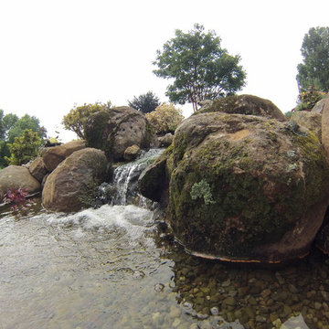 Large Scale Pond Project