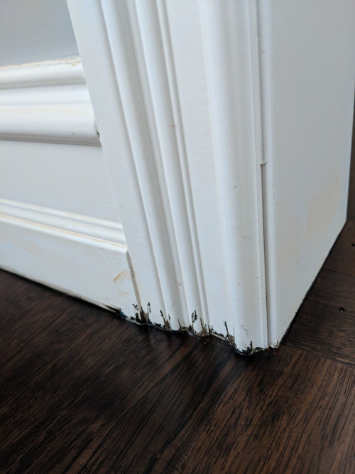 baseboard paint touch up after staining hardwood floors