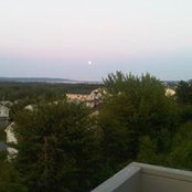 Constantin Nedelcu's photo