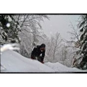 Teo Bartulovic's AlterEgo's photo