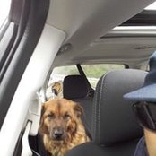Kent O'Dohertys foto