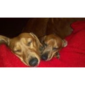 Susi Hearn's photo