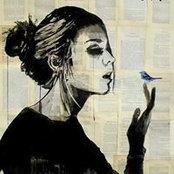 Nour El-Gindy's photo