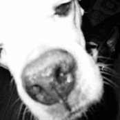 amy kurtz's photo