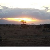 Edward Lan's photo