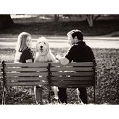 Kim Knott's photo