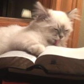 Debi Mulder's photo