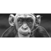 Matt Sellars's photo