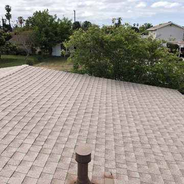 Shingle Roof Replacement