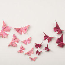 ella_rose67's ideas