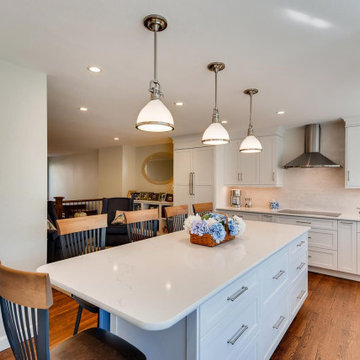 Cherry Creek Kitchen Remodel