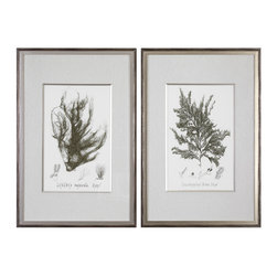 Uttermost - Uttermost Sepia Seaweed Prints, Set of 2 - Prints And Posters
