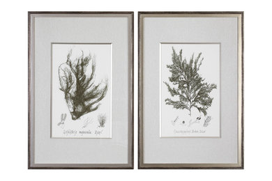 Uttermost Sepia Seaweed Prints, Set of 2