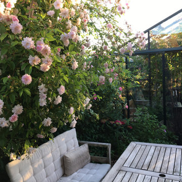 Havedesign med roser, intimt haverum