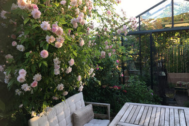 Havedesign med roser, intimt haverum