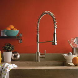 Danze Parma Single Handle Pre-Rinse Faucet - D455158 - Kitchen Faucets