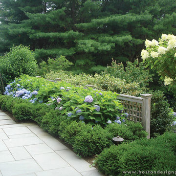 Dana Schock and Associates