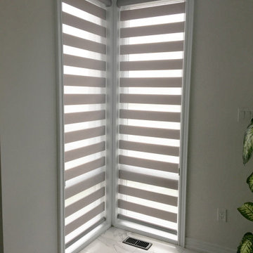 High Quality Combi Zebra Shades