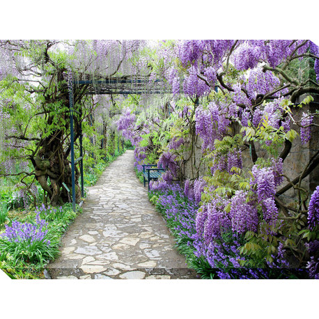 Wisteria Path Outdoor Art, 40x30