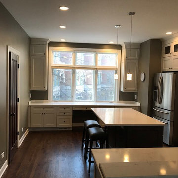 Chicago South Loop Kitchen Remodel