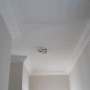 Ceiling and Cornice Installation and Repair