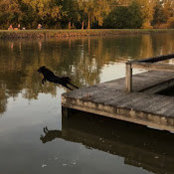 Scott Schindler's photo