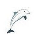 Dolphin Plumbing's profile photo