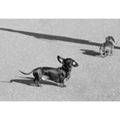 Stelios Chalkias's photo