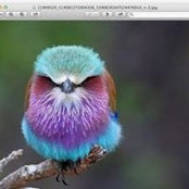 Camilla Morandi's photo