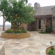 Front yard