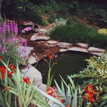 Landscape Ideas