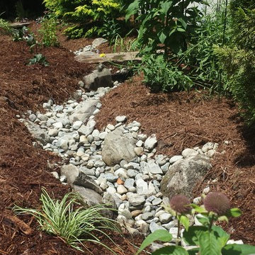 Pet-Char Stormwater Solution
