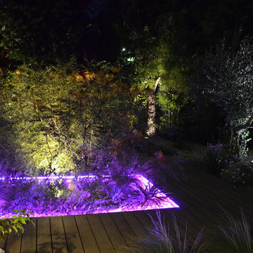 Un jardin original à Toulon