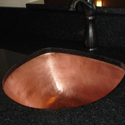 Nutmeg Meadows Residence - Kitchen Sinks