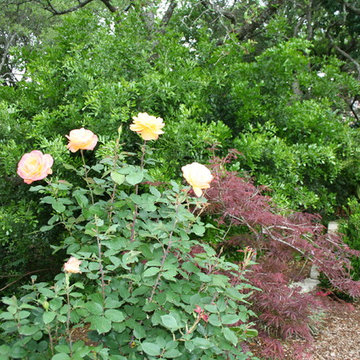 Traditional garden in Northwest Hills