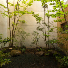 Japanese garden
