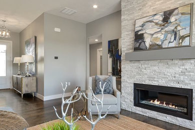 Living room - mid-sized transitional formal and open concept dark wood floor and brown floor living room idea in Other with gray walls, a ribbon fireplace, a stone fireplace and no tv