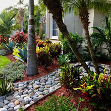 Florida Landscapes