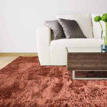 Paris Shag Area Rug Orange