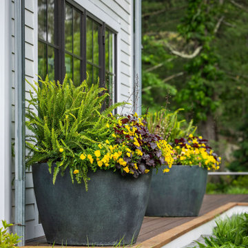 Container Gardens