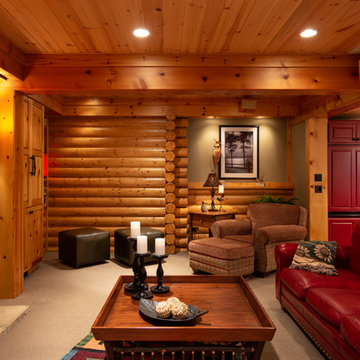 Modern Log Cabin Basement Remodel in Ann Arbor, Michigan