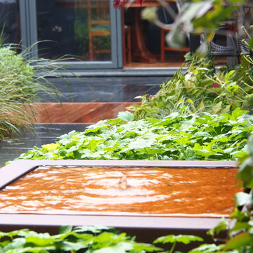 Queens Park - Jardín