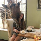 Kylie Eagles's photo