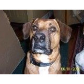 Debra Eichmann's photo