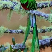 Cynthia Llamas's photo