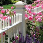 Sunrise Fence's photo