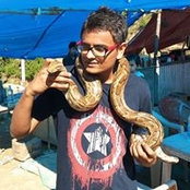 Foto von Dinesh Kumar
