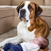 Julie McCloud's photo
