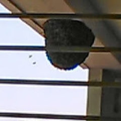kannappa construction