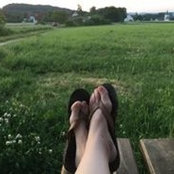 Liz Kraft's photo